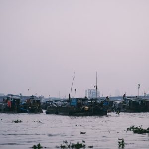 the whole Cái Răng floating market at dawn — Cai Rang Floating Market at Dawn, mekongtodo real Mekong Delta tour